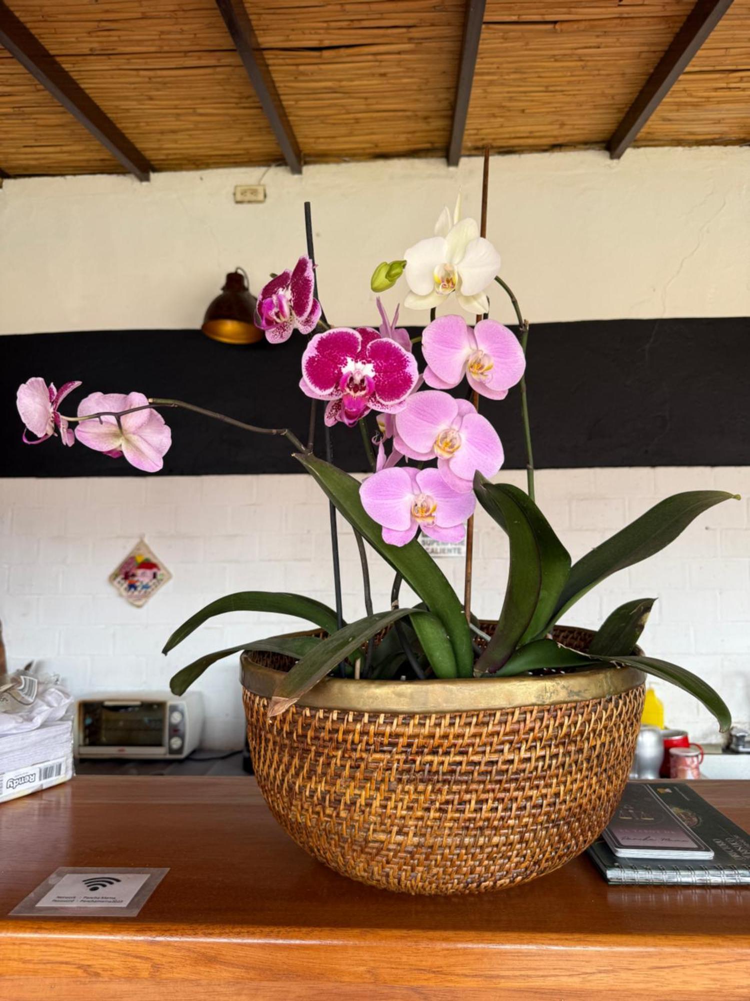 Pancha Mama Hotel Boutique Villa de Leyva Eksteriør bilde